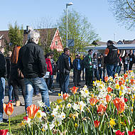 Abschlussbericht Fr&uuml;hlingsforen 2016