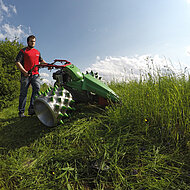 Rapid und Reform: mehr als nur unterschiedliche Farben