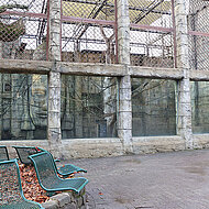 Zoo Osnabrück: gemeinsame Reinigung des Orang-Utan-Geheges