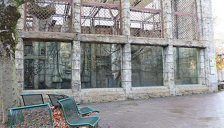 Zoo Osnabrück: gemeinsame Reinigung des Orang-Utan-Geheges