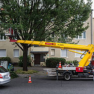 Einsatzbericht: Arbeitsb&uuml;hnen f&uuml;r den Baumschnitt