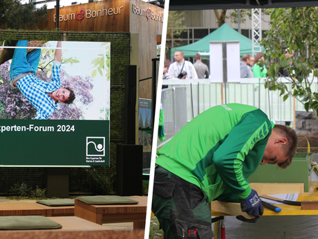 Gelungenes Jubiläum mit Kontroverse – Logistiksystem stößt auf harsche Kritik