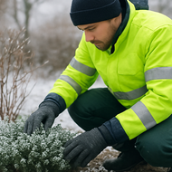 Was Landschaftsg&auml;rtner im Winter wirklich tun