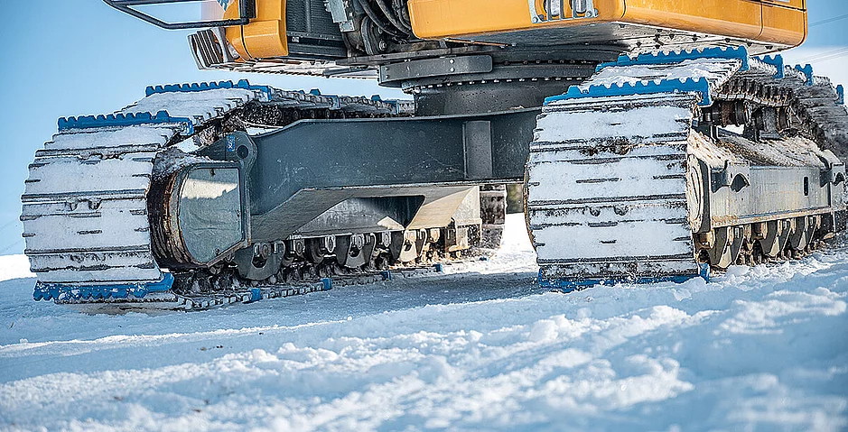 Vielfalt, wohin das Auge reicht