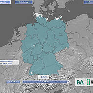 Eichenprozessionsspinner: Frühwarnsystem jetzt online
