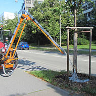 Mit smart KOMPAKT dem Trockenstress des Stadtgr&uuml;ns entgegenwirken