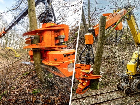 Woodcracker: schnell und einfach Verkehrswege sichern