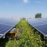 Raymo Torpedo: Elektro-M&auml;her f&uuml;r Ganztages-Einsatz