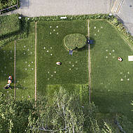 Studie der Uni Hohenheim: Mähroboter erlauben biologische Vielfalt auf dem Rasen