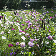 Verver Export: Neuheiten Sommerkatalog 2017 & 2018