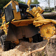 „Forst live“ zeigt Vielfalt der Holznutzung