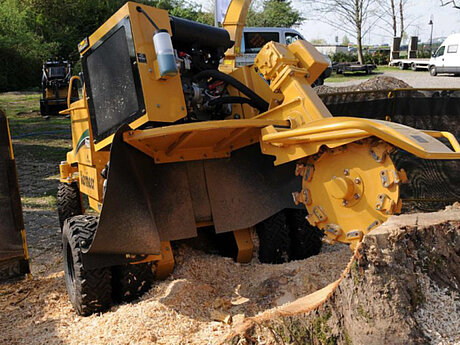 &bdquo;Forst live&ldquo; zeigt Vielfalt der Holznutzung