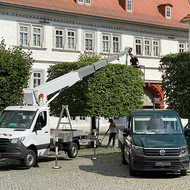 P 250 BK &ndash; der Helfer f&uuml;r den Baumschnitt