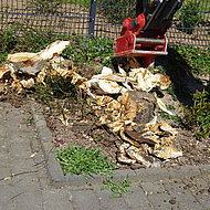 Baubetriebshof Stadtallendorf st&auml;rkt sein Repertoire an Eigenleistungen