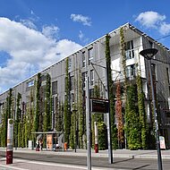 BuGG veranstaltet bundesweit Seminare zur Dach- und Fassadenbegr&uuml;nung