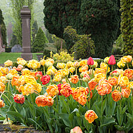 Hin zu einem lebendigen Friedhof