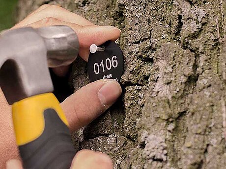 Bessere Zugangs-Chancen für Ungelernte und Benachteiligte