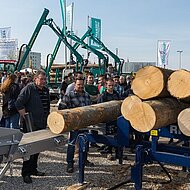 FORST live:  Wie aus stämmigen Bäumen Kleinholz wird