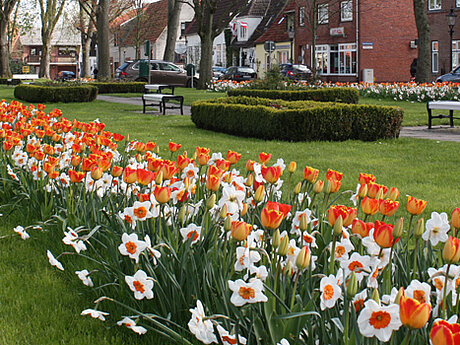 Bl&uuml;tenpracht mit Flower Your Place BV