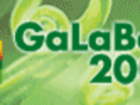 Abschlussmeldung: Besucher st&uuml;rmen auf die GaLaBau 2008