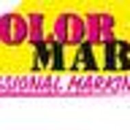 DISTEIN Produktneuheiten 2013