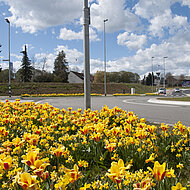 Funktionelle, pflegleichte & sichere &ouml;ffentliche Gr&uuml;nanlagen