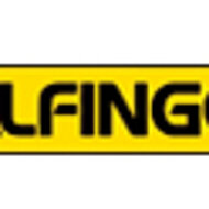 &Uuml;BERNAHME: Palfinger &uuml;bernimmt Elevant