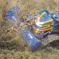 demopark 2017 &ndash; M&auml;hraupen: Kletterk&uuml;nstler als Probleml&ouml;ser