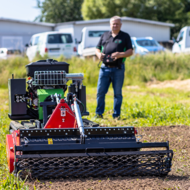 Wildkraut-Evergreens auf der demopark zu sehen