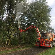 Nematoden: biologische Bek&auml;mpfung des Eichenprozessionsspinners