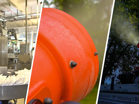 Biologische Bekämpfung des Eichenprozessionsspinners