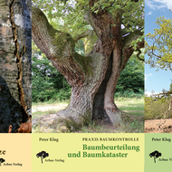 Arbus Verlag: Fachwissen f&uuml;r Baumkontrolleure und -pfleger