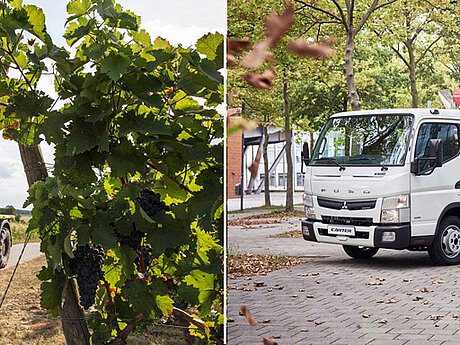 Mercedes-Benz Unimog und FUSO Canter &ndash; starke Partner im GaLaBau sowie im Kommunalbereich