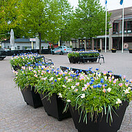 Farbenfrohe K&uuml;bel fr&uuml;h in der Saison!