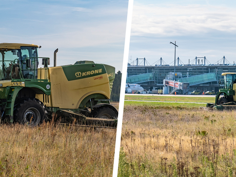 Grünlandpflege im Sicherheitsbereich