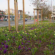 Bunte und nachhaltig bepflanzte Gr&uuml;nanlagen!