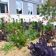 Gr&uuml;ne, nachhaltige Bepflanzung mit Staudenkonzepten