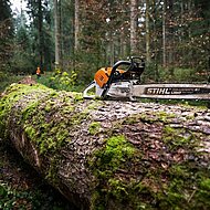 Die STIHL MS 500i gewinnt Goldmedaille