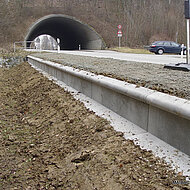 Schwaben bieten umfassende Schutzma&szlig;nahmen f&uuml;r Reptilien- und Amphibien