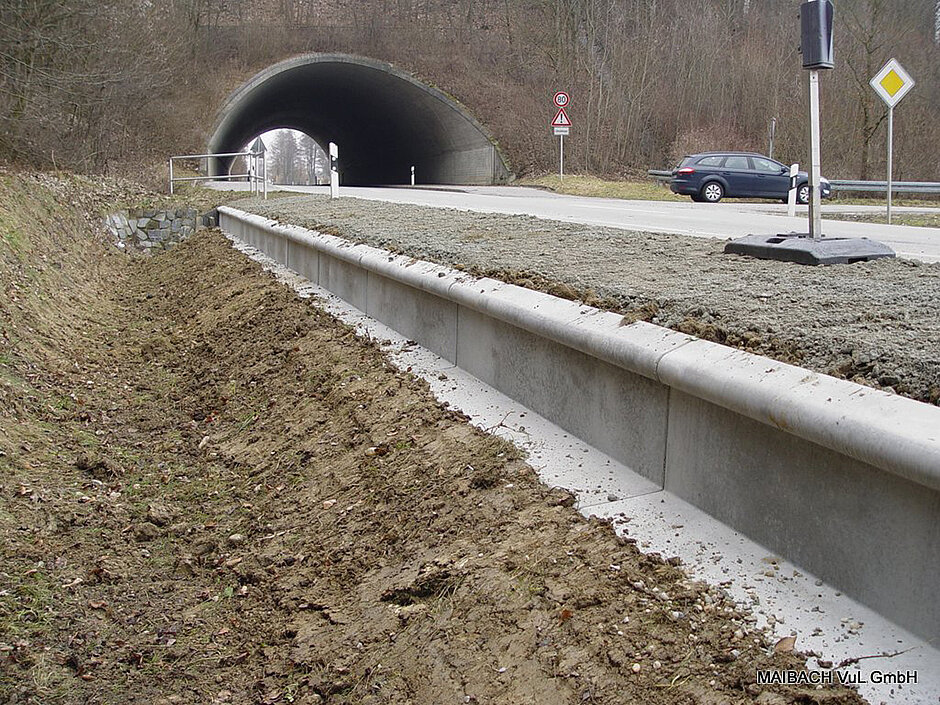 Schwaben bieten umfassende Schutzmaßnahmen für Reptilien- und Amphibien