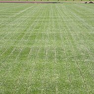 OSMO-DRAIN:  Neuartiges, automatisches Pflegeverfahren f&uuml;r Fu&szlig;ball- und Rasensportpl&auml;tze