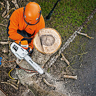 Baumpfleges&auml;ge STIHL MS 201 TC-M mit M-Tronic