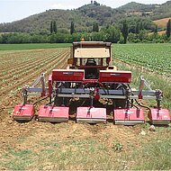 Farmtec: breviglieri-Reihenfr&auml;se &ndash; die einfache Art der Unkrautbek&auml;mpfung