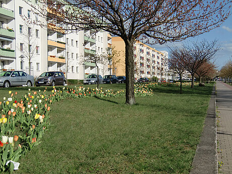 Verver: Der Vorteil der maschinellen Bepflanzung von Gr&uuml;nfl&auml;chen 