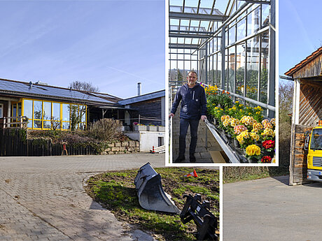 Langjährige Erfahrung – Strategie gegen Eichenprozessionsspinner