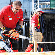 Chemnitz wird zum Zentrum für Forstwirtschaft und Holzverarbeitung