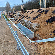 Umfassende Schutzmaßnahmen für Reptilien und Amphibien