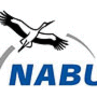 Von wegen gesunde Landluft: Traktoren und Landmaschinen s&auml;mtlich ohne Ru&szlig;filter unterwegs.