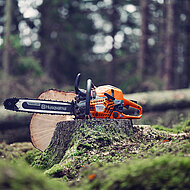 Zwei neue Motorsägen für Baumprofis mit hohen Ansprüchen 