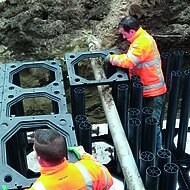Baumpflanzungsspezialist wandelt bei GaLaBau auf GR&Uuml;N-BLAUEM PFAD